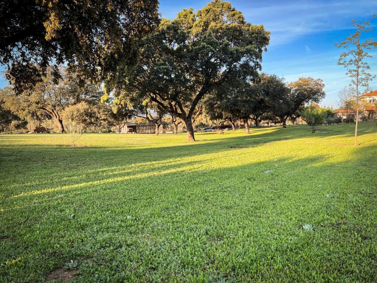 La Encina Guapa Casa Rural 20,000M2 De Intimidad Villa La Iglesuela Dış mekan fotoğraf
