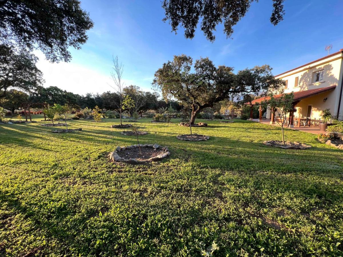 La Encina Guapa Casa Rural 20,000M2 De Intimidad Villa La Iglesuela Dış mekan fotoğraf