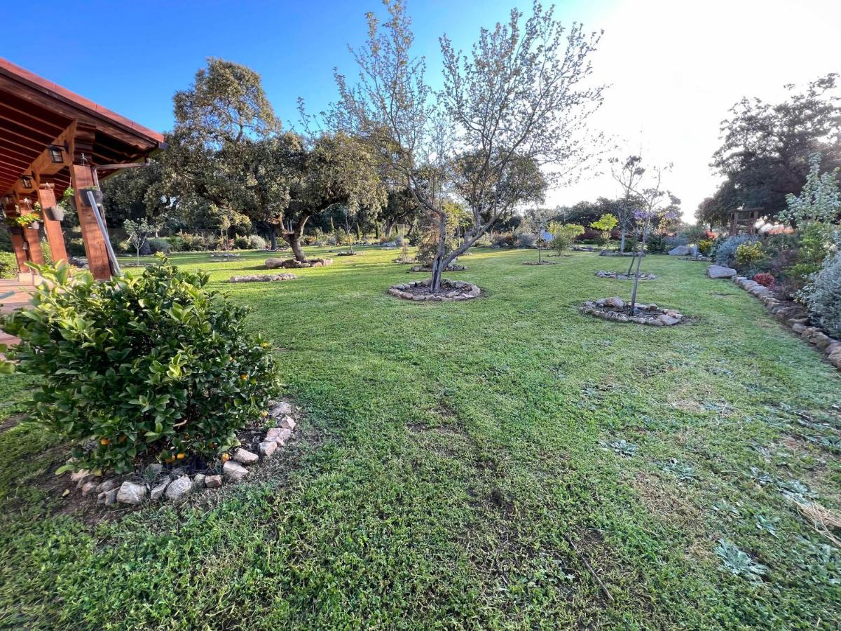 La Encina Guapa Casa Rural 20,000M2 De Intimidad Villa La Iglesuela Dış mekan fotoğraf